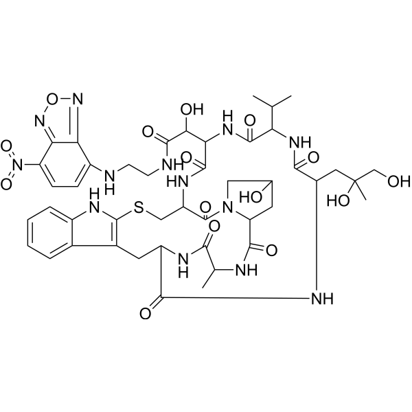 N-(7-Nitrobenzofurazan-4-yl)phallacidin 73413-78-2